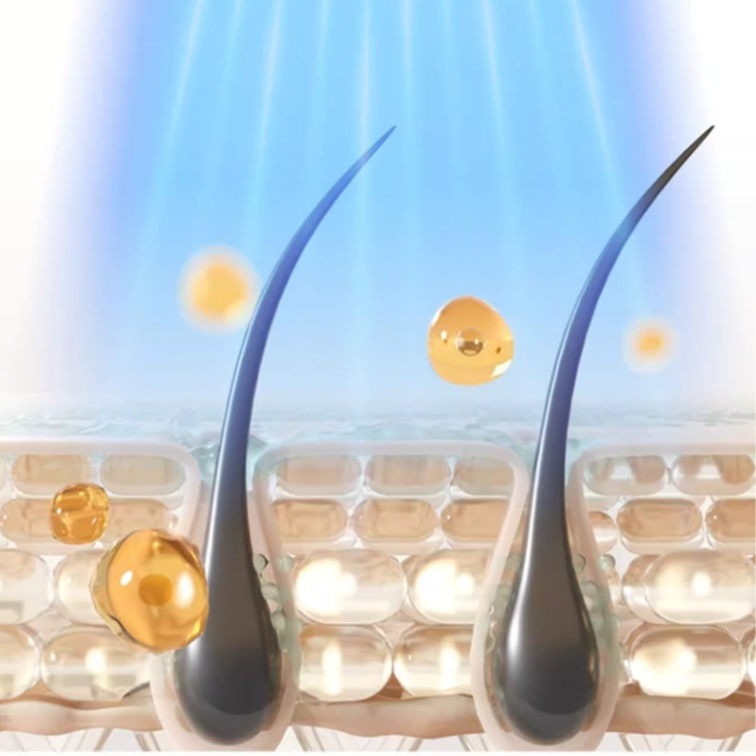VITA Pro Multi-Function Hair Care Comb - TOUCHBeauty